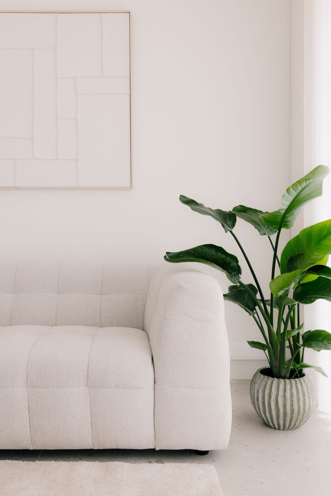Lichte zetel met grote plant naast het raam
